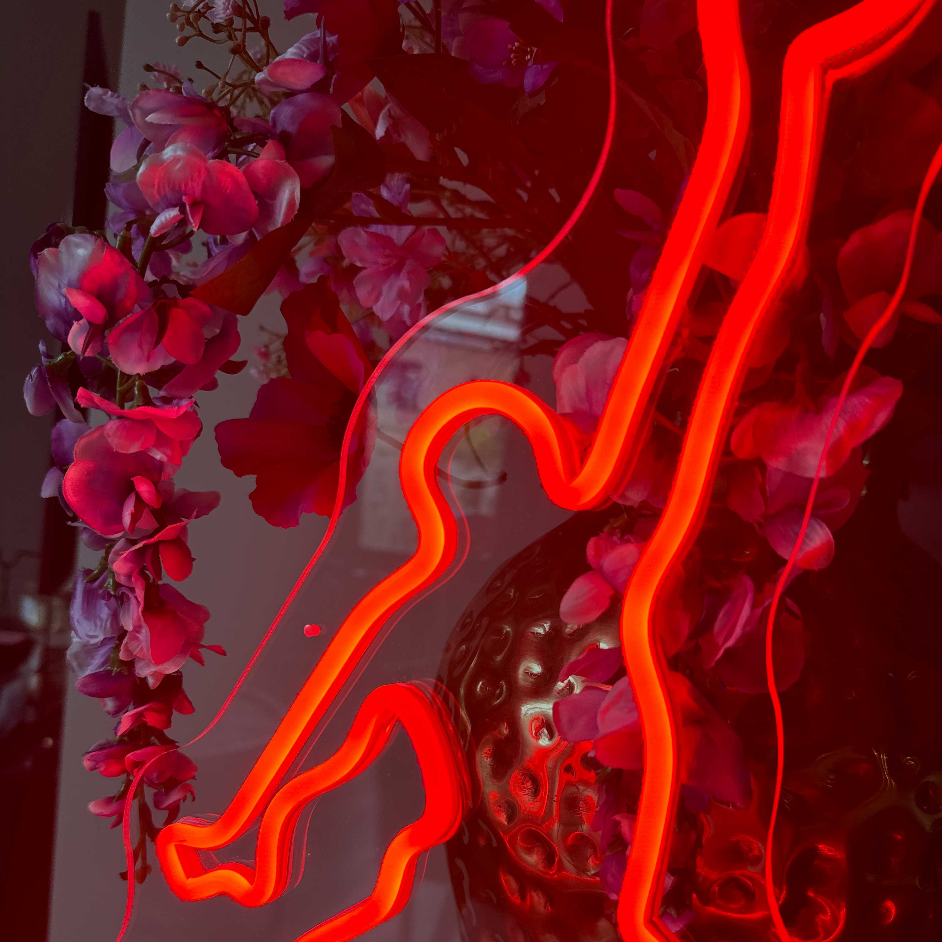 Insegna Al Neon Giordania