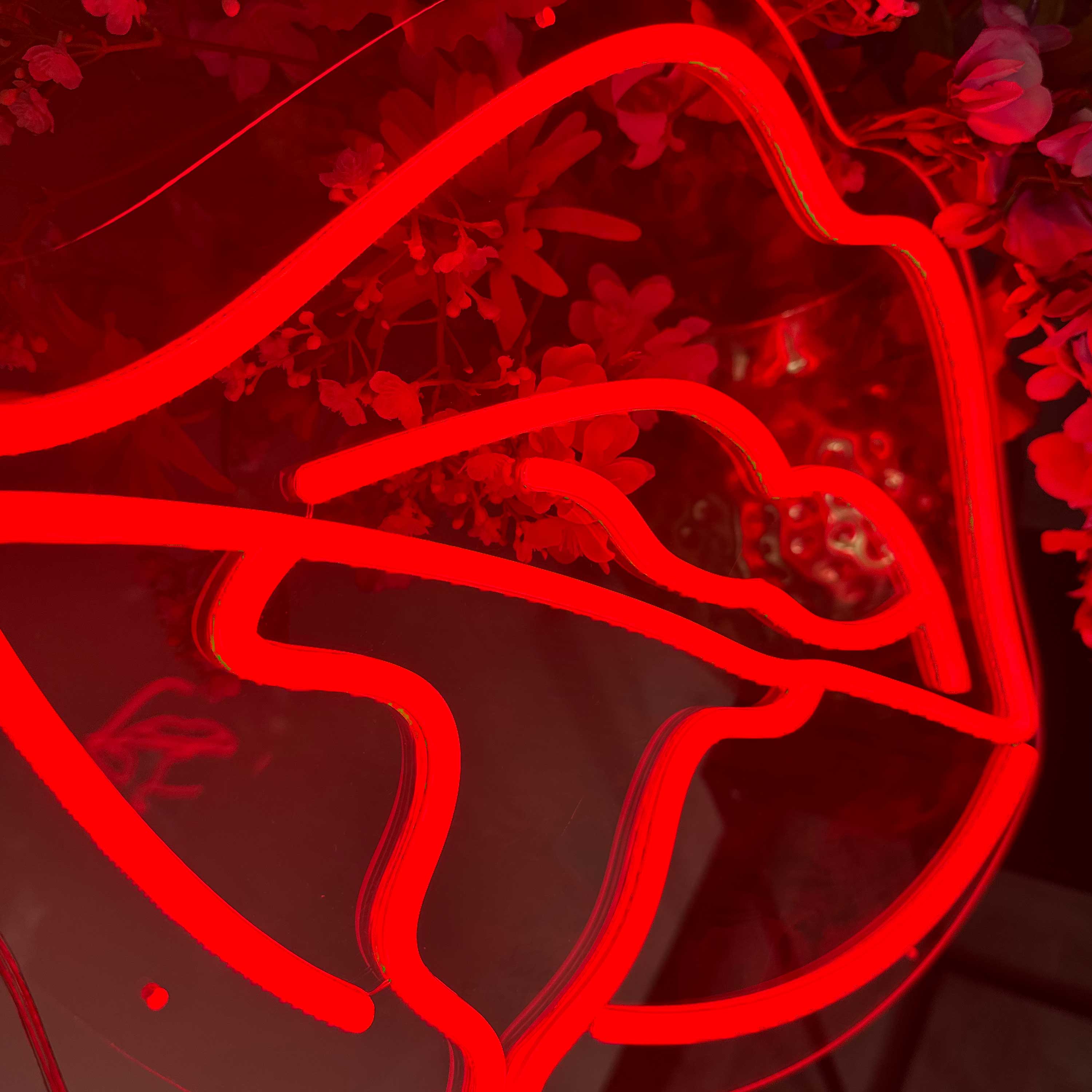 Insegna al neon Labbro Mordente