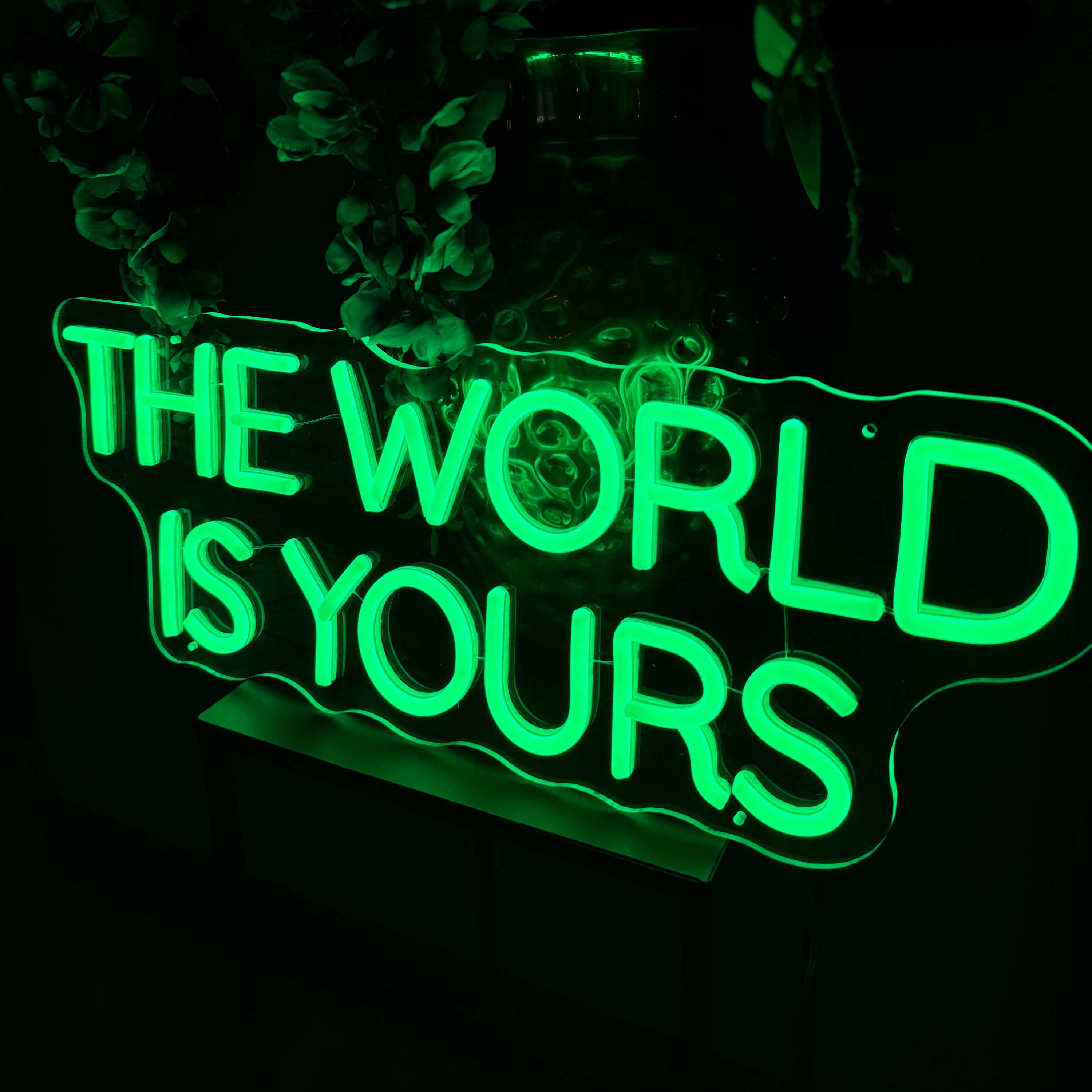 Insegna al neon The World Is Yours