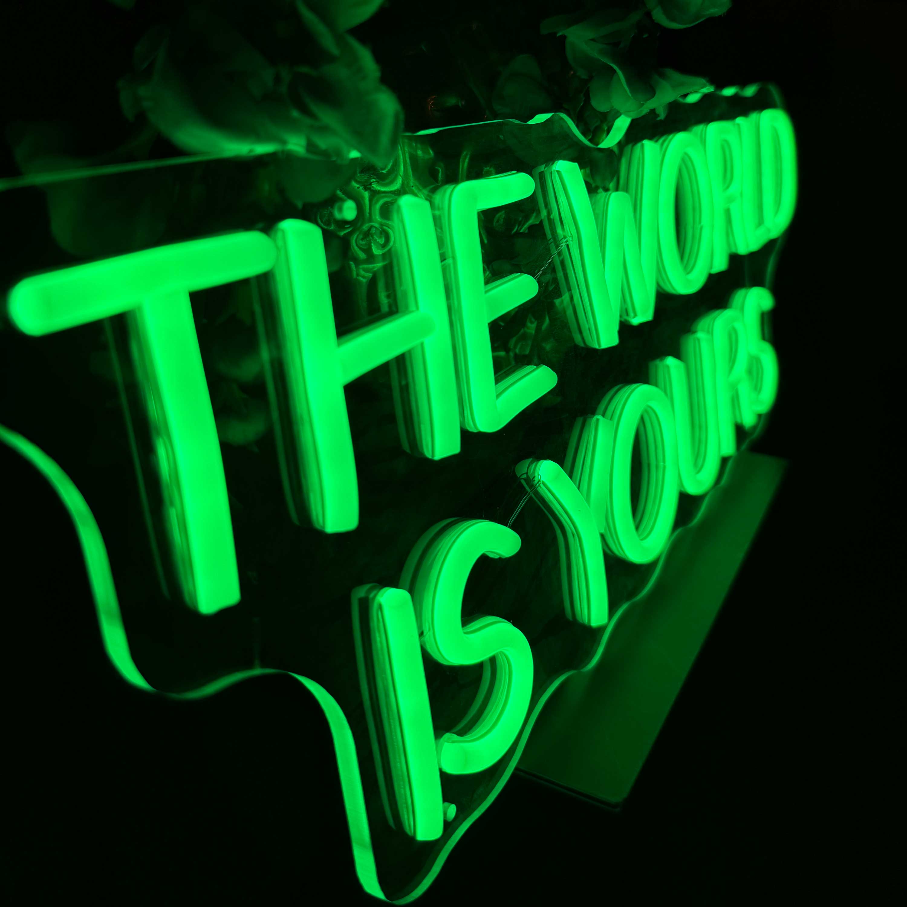 Insegna al neon The World Is Yours