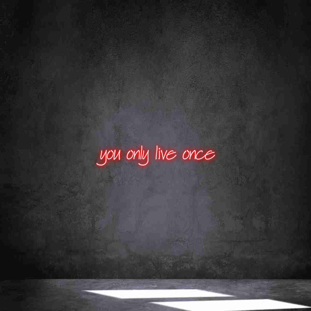 Neon personalizzato: you only live...