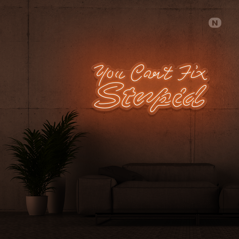 Insegna al neon you can't fix stupid